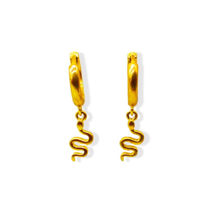 Bofa silver earrings