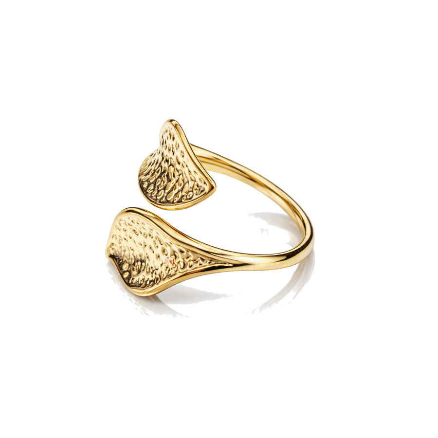 Anillo Namibia