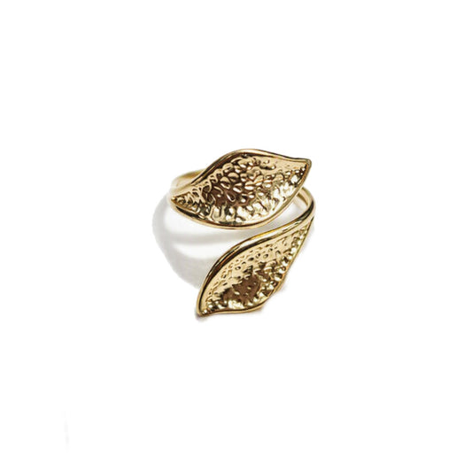 Anillo Namibia