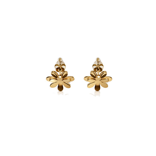 Pendientes Taiwán