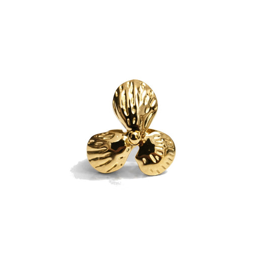 Anillo Nepal
