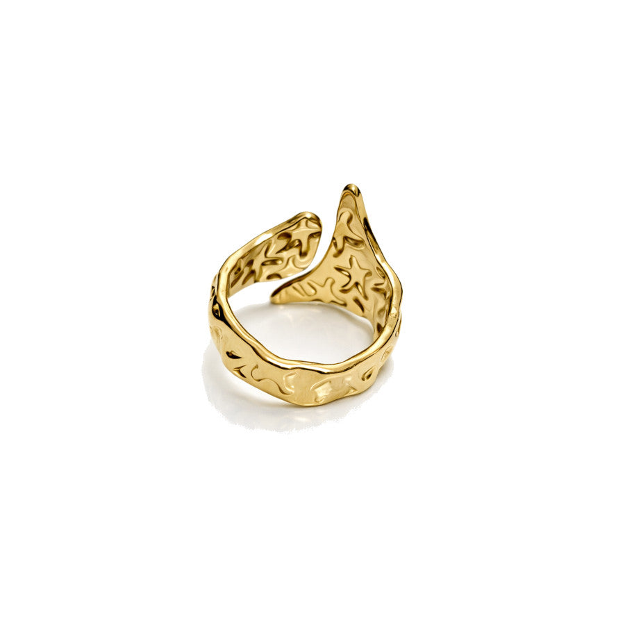 Pakistan Ring