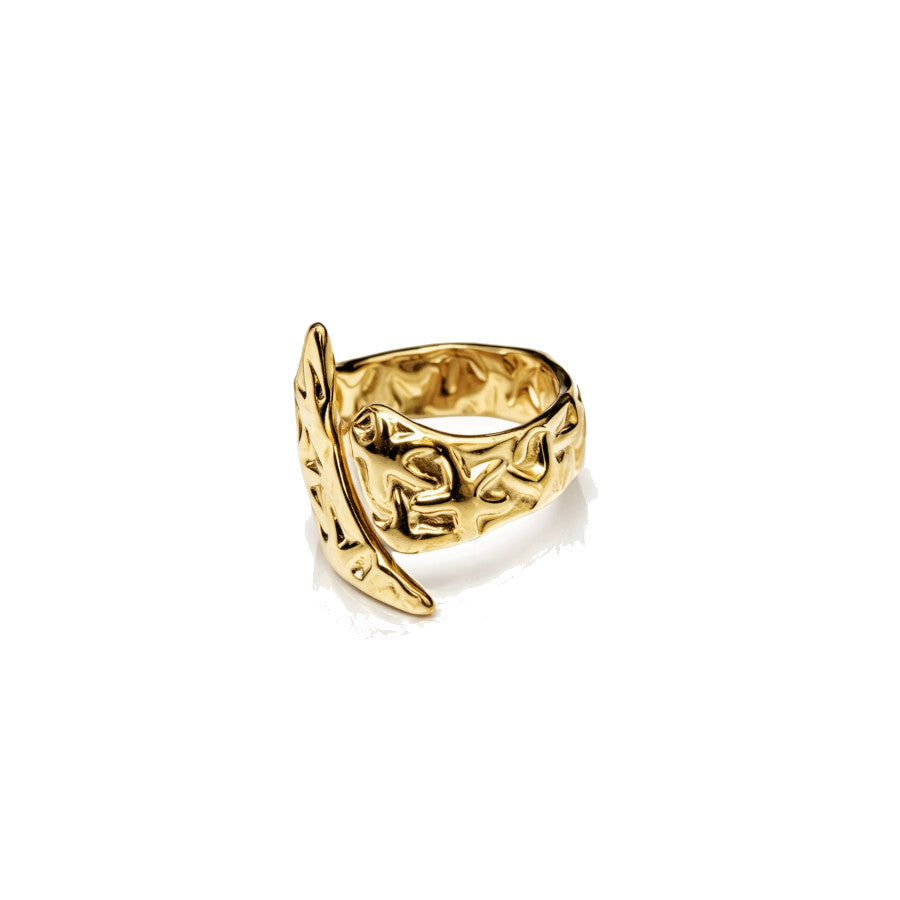 Pakistan Ring