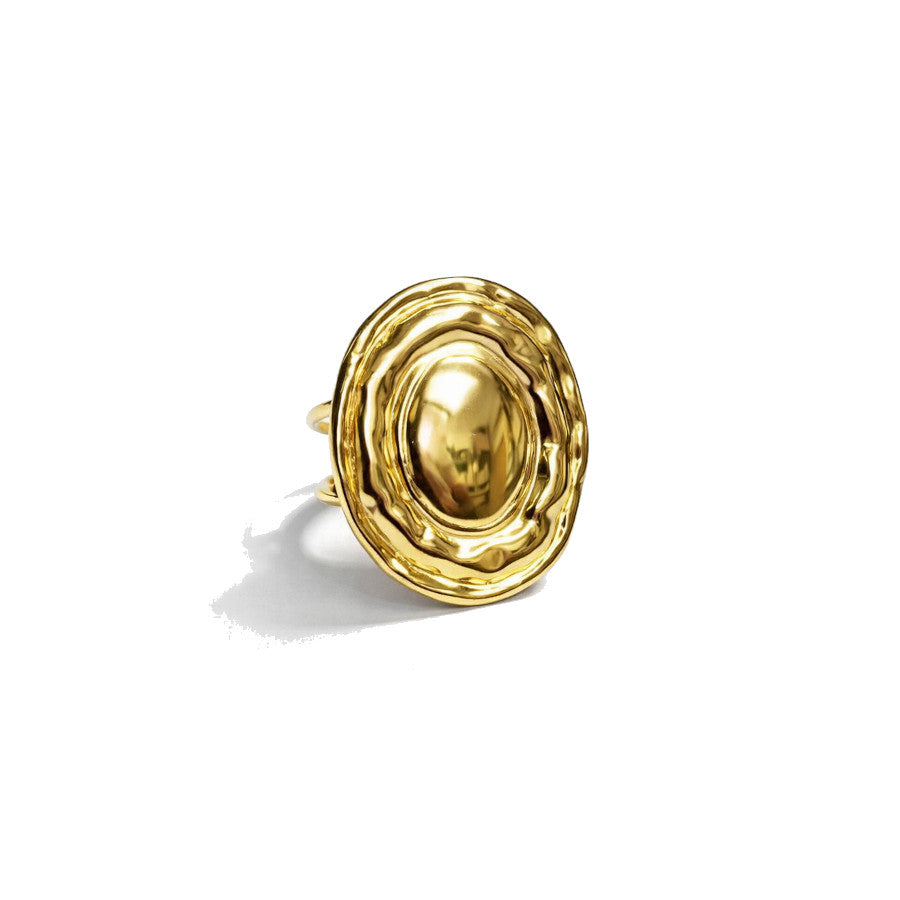 Anillo Bolonia