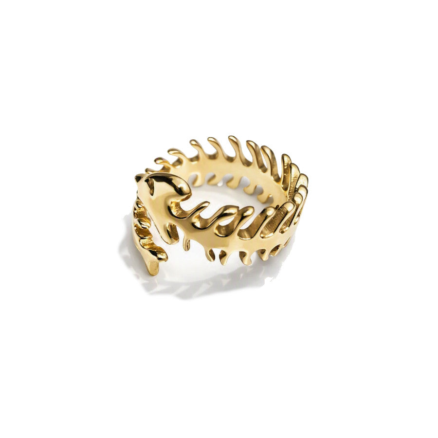 Anillo Rennes
