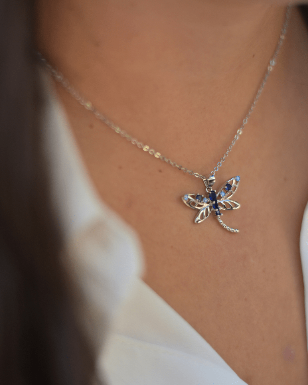 Lipalomo Silver Choker