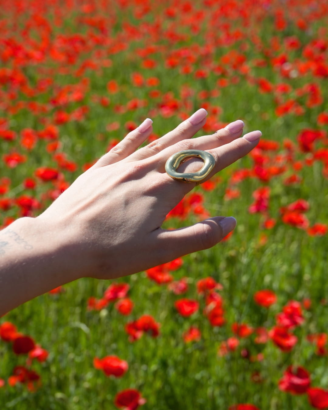 Anillo Birmania
