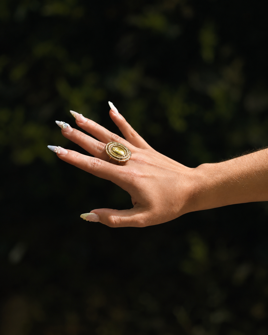 Anillo Bolonia